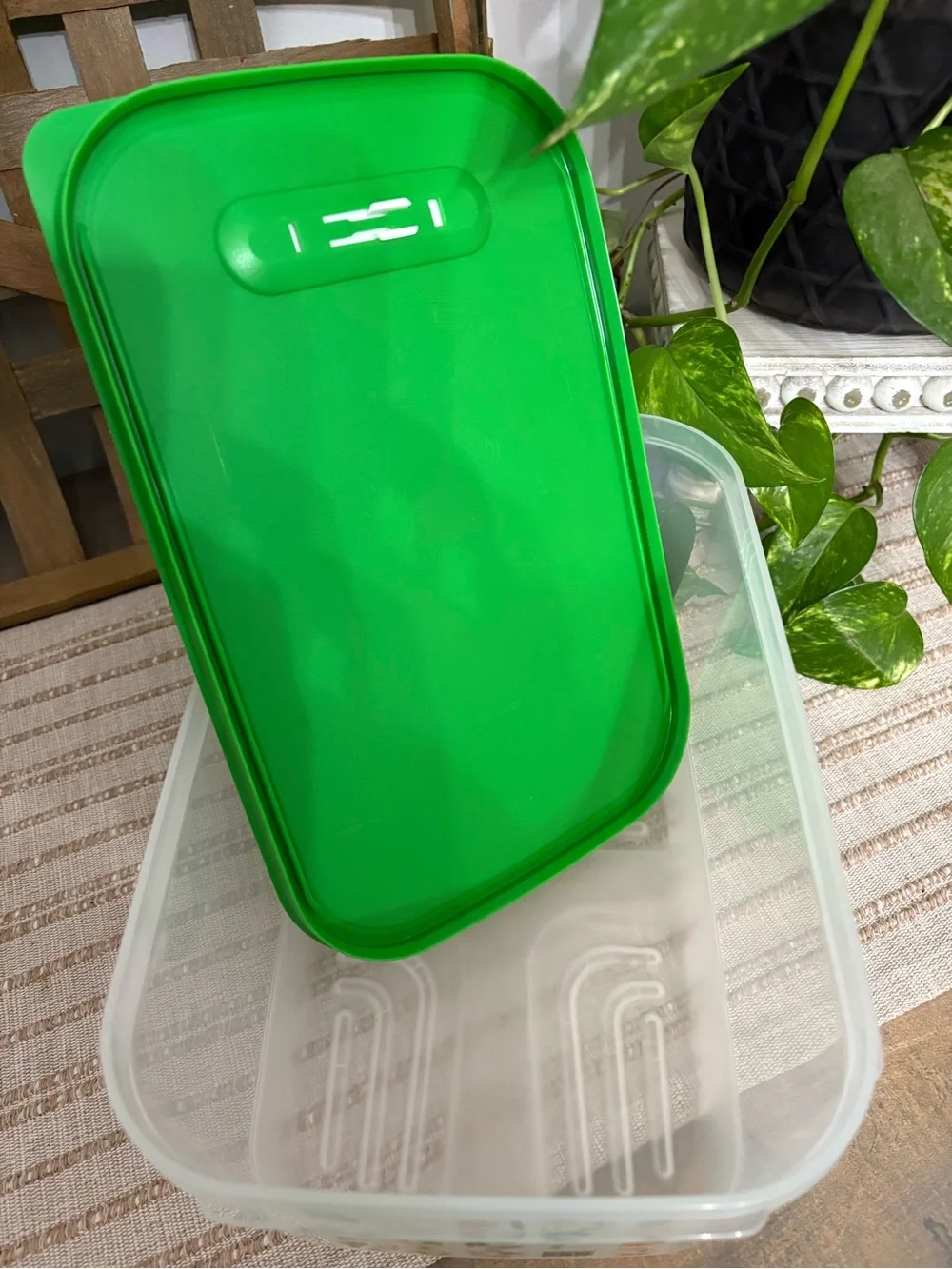 Tupperware FridgeSmart Medium Deep 4.4L/ 1 Gal Fruit Vegetable Keeper Vented Clr
